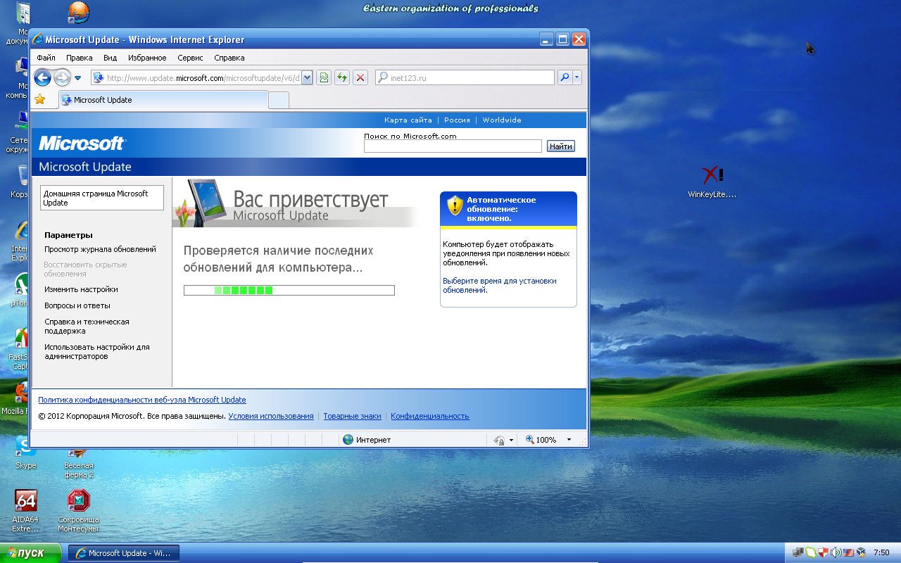 Windows zver отличия от xp